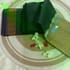 Lightweight Sungudi Cotton (253) - Image 1
