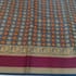 Traditional Rudraksha Checks Cotton Saree (072) - Image 2