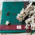 Premium Vaigarai Cotton  (151) - Image 2