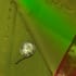 Vaigarai Classic Cotton (278) - Image 4